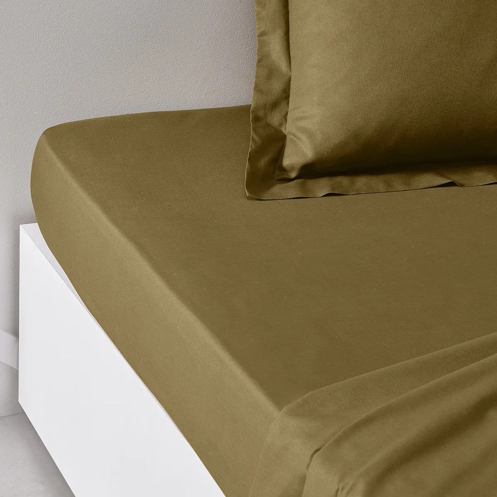 Σεντόνια με λάστιχο Today  DH 140/200+30 Coton TODAY Essential Bronze
