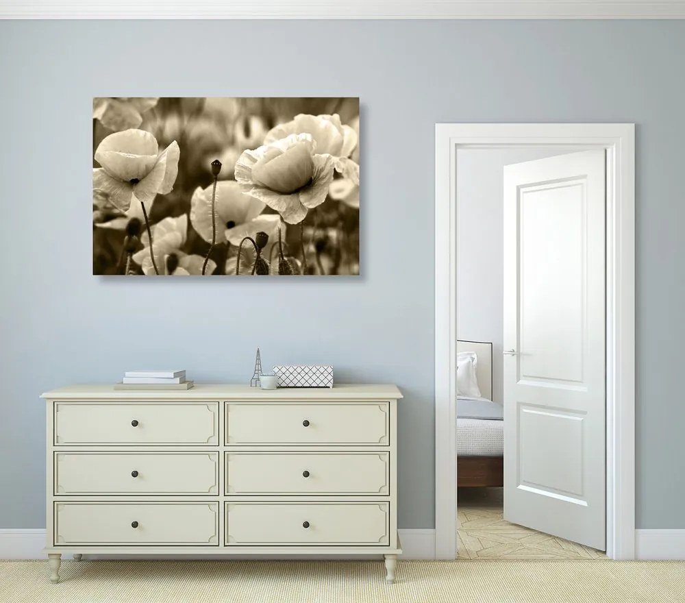 Πεδίο εικόνας με άγριες παπαρούνες σε σχέδιο σέπια - 90x60