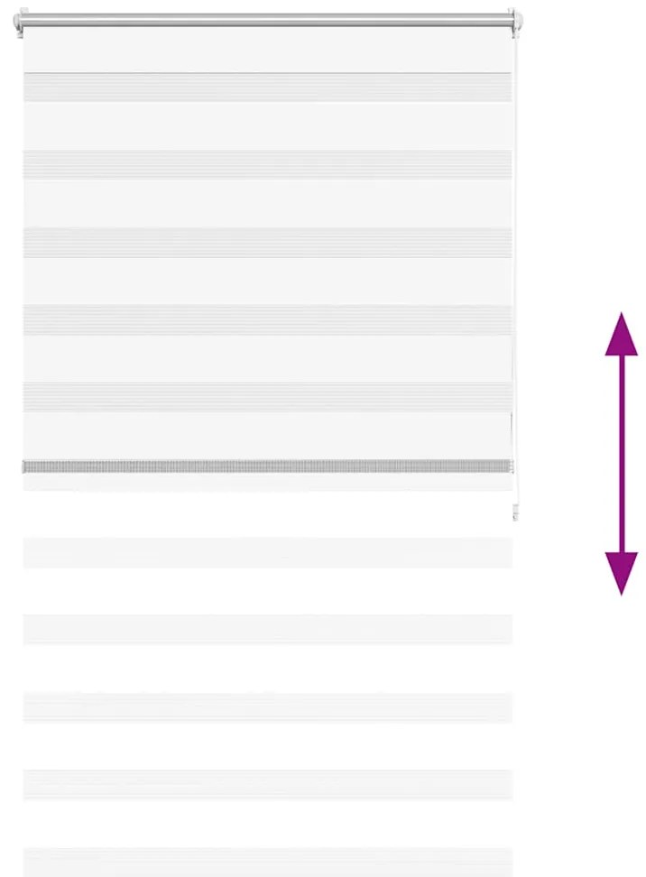 vidaXL Ρόλερ Zebra Λευκό 100 x 175cm
