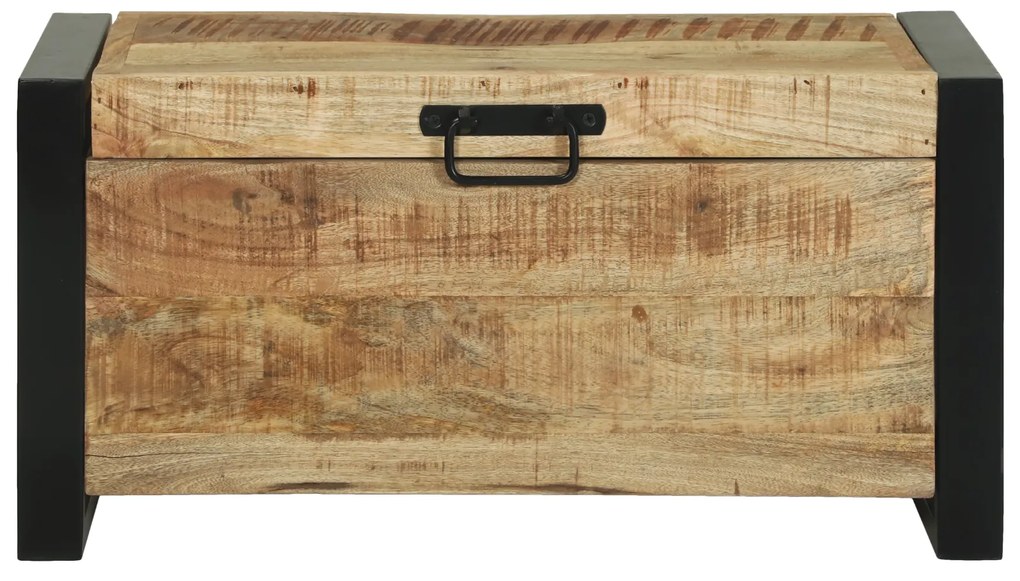 vidaXL Κουτιά Αποθήκευσης 60x30x30εκ Μασίφ Ξύλο Μάνγκο και Μέταλλο