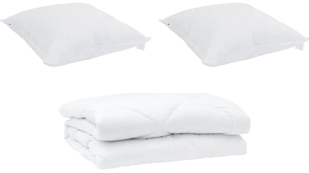 vidaXL Πάπλωμα με μαξιλάρι 3 pcs Λευκό 260 x 220 εκ. Μικροΐνες