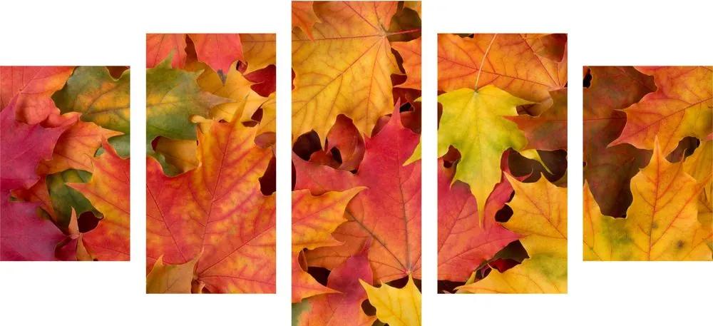 5 μέρη εικόνα φθινοπωρινά φύλλα