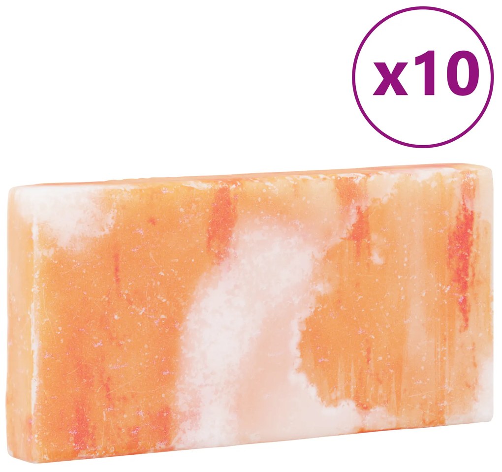 vidaXL Ροζ Πέτρες Αλατιού 10 τεμ 20x10x2,5 εκ, 11,5 κιλά