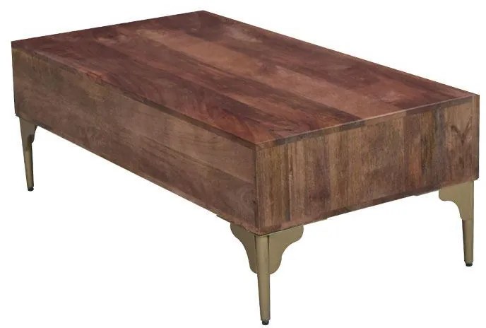 Τραπεζάκι Σαλονιού Amrita Καφέ 120x40x60εκ. 120x60x40 εκ.