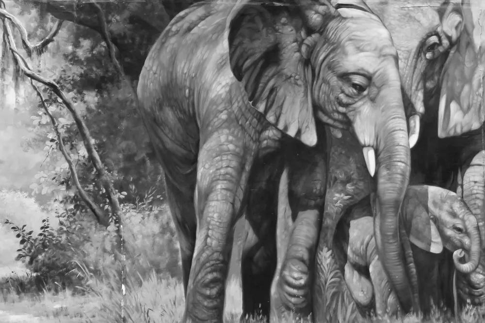 Εικόνα μιας οικογένειας ελεφάντων σε μαύρο & άσπρο - 90x60