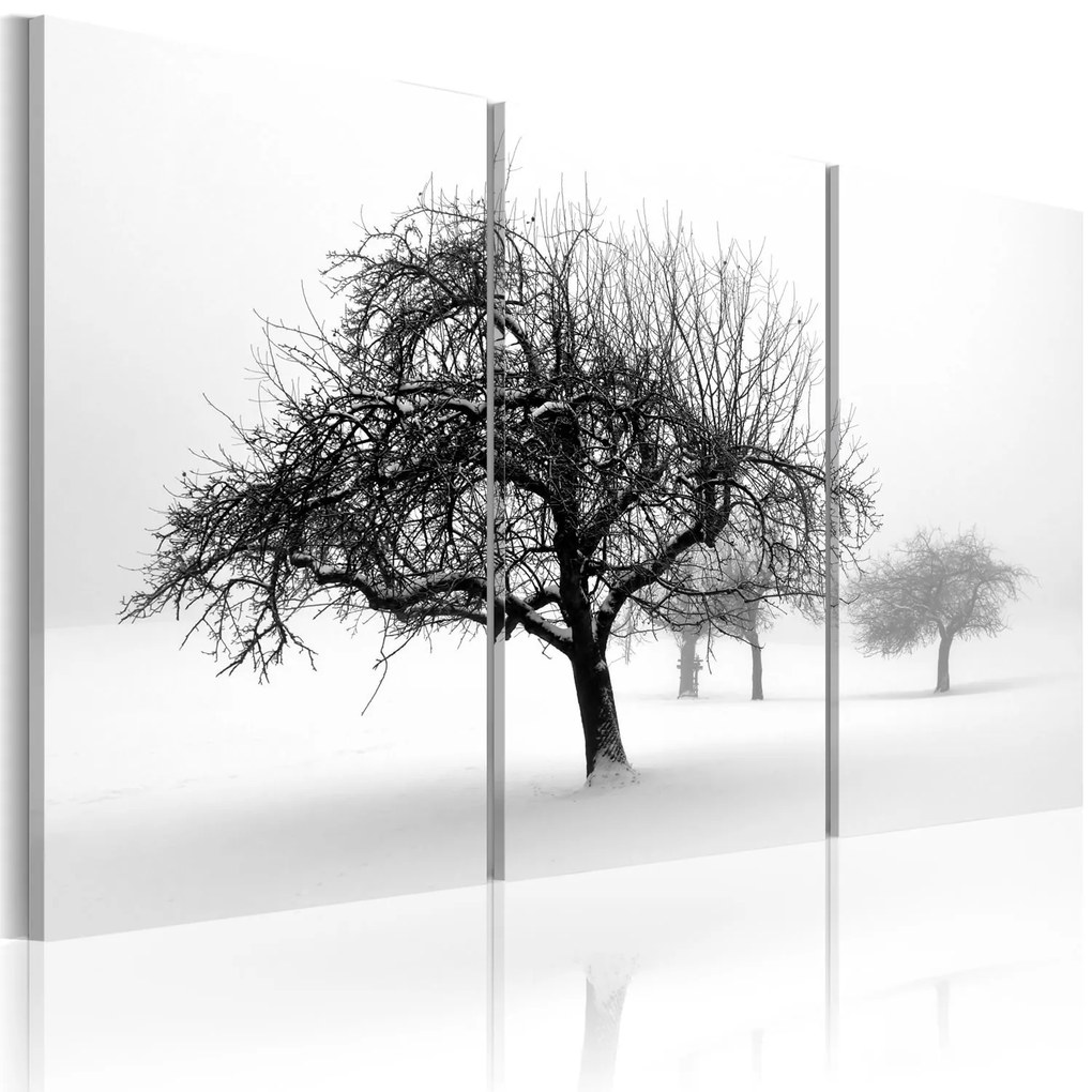 Πίνακας - Trees submerged in white 120x80