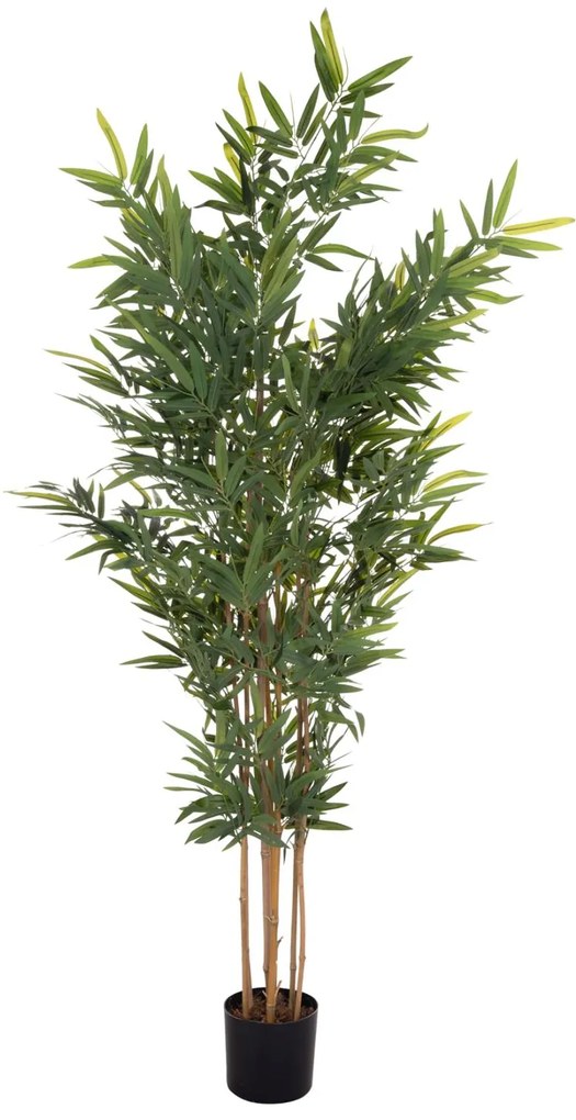 Διακοσμητικό Συνθετικό Φυτό BAMBOO C4737 σε γλάστρα 20x95x200Υεκ. 20x95x200 εκ.