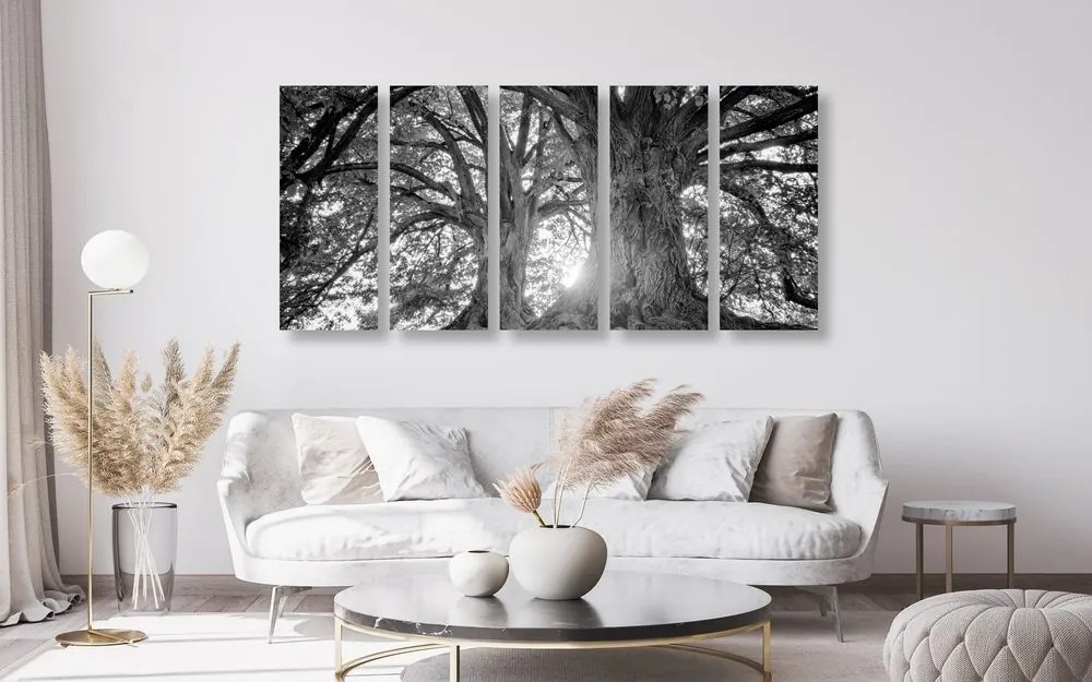 Εικόνα 5 μερών ασπρόμαυρα μεγαλοπρεπή δέντρα - 200x100