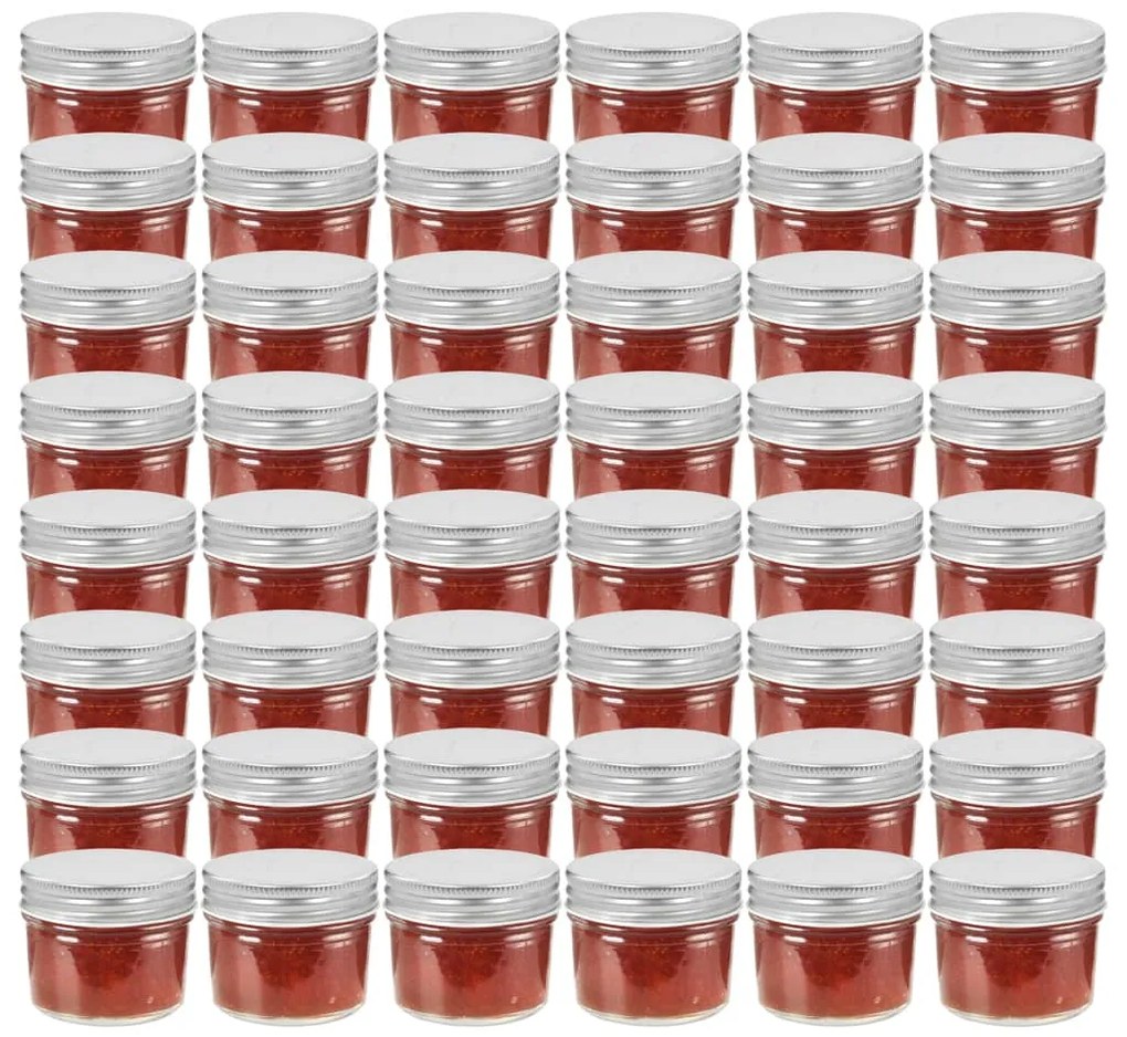 vidaXL Βάζα Μαρμελάδας 48 τεμ. 110 ml Γυάλινα με Ασημένια Καπάκια