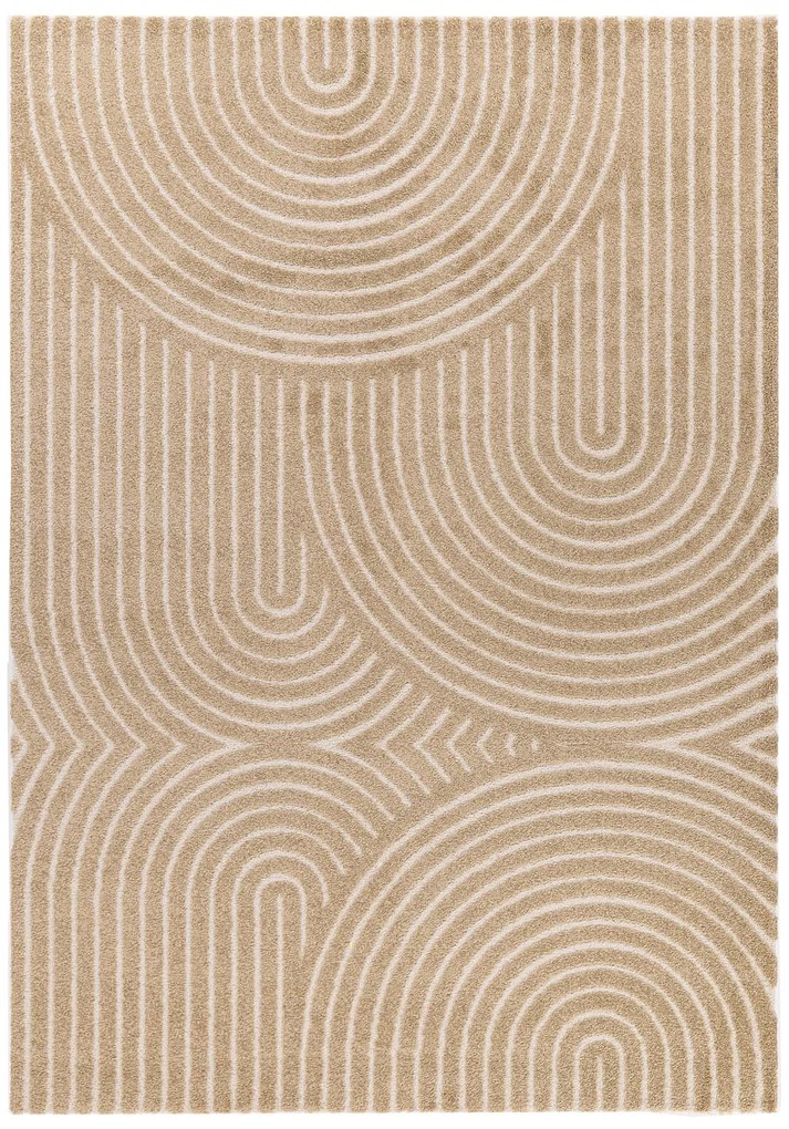 Χαλί Cocoon 59602 861 Royal Carpet - 160 x 230 cm