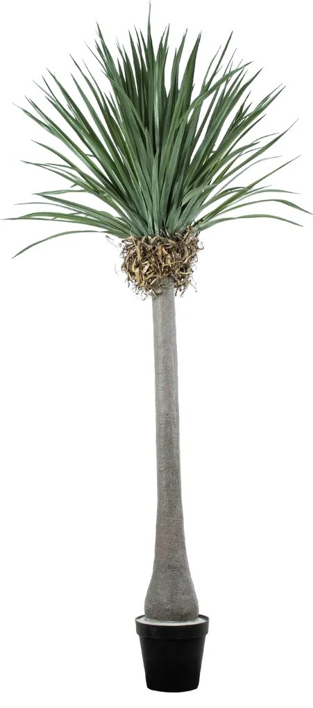 GloboStar® Artificial Garden BEAUCARNEA PALM TREE 20048 Τεχνητό Διακοσμητικό Φυτό Κυρτόφυλλος Μπουκαρνέα Υ250cm