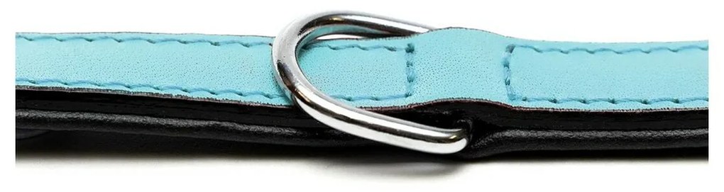 Κολλάρο Σκύλου Gloria Γεμισμένο Μπλε (50 x 2,5 cm)