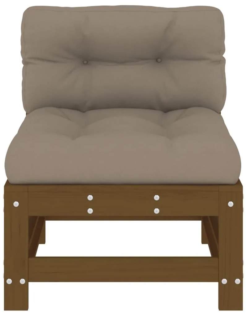 vidaXL Καναπέδες Μεσαίοι με Μαξιλάρια 2 τεμ. Μελί Μασίφ Ξύλο Πεύκου