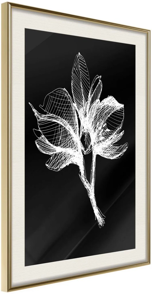 Αφίσα - White Plant - 40x60 - Χρυσό - Με πασπαρτού