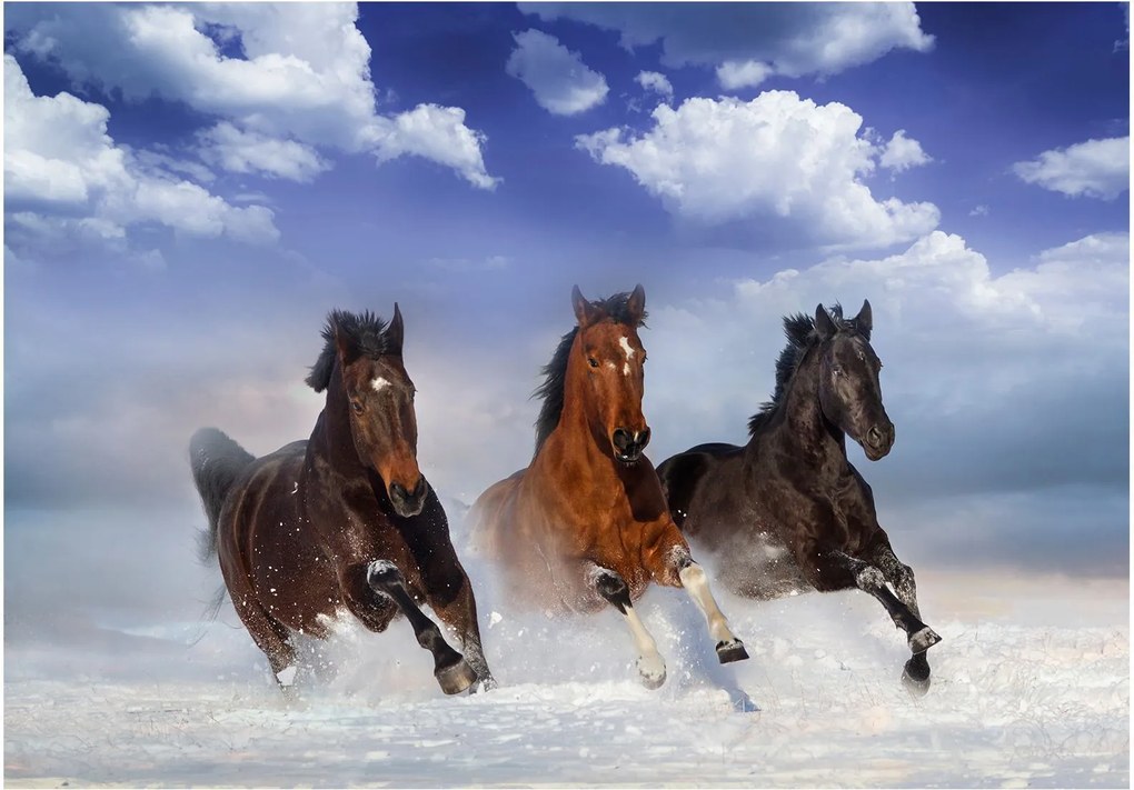 Αυτοκόλλητη φωτοταπετσαρία - Horses in the Snow - 392x280