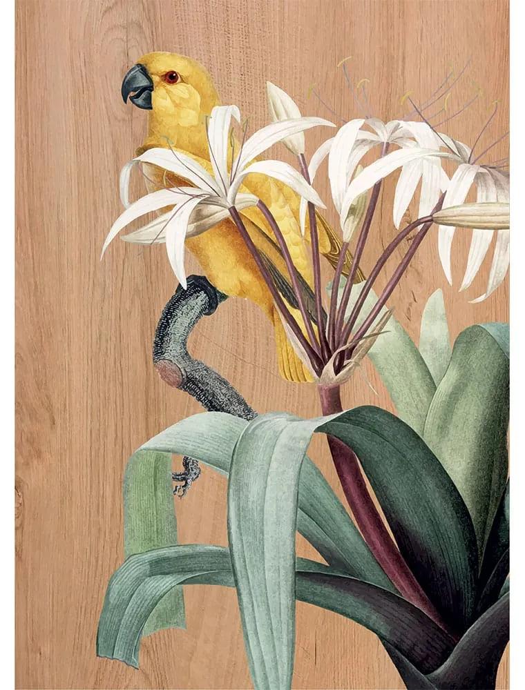 Yellow Parrots πίνακας διακόσμησης ξύλου 67 x 47 x 0,60 εκ (21657) - MDF - 21657