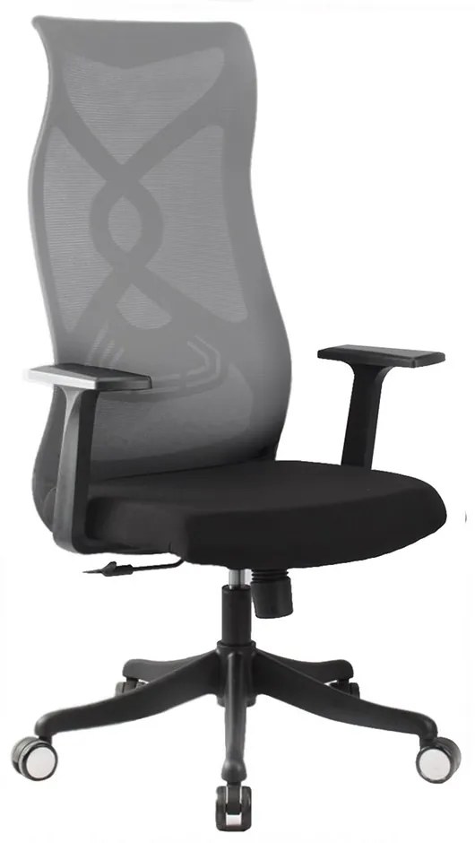 Καρέκλα Γραφείου Alister 01-00-2252 Black-Grey