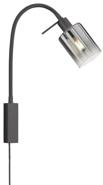 Απλίκα Φωτιστικό Τοίχου Φιμέ Iska 30439 Fischer Honsel-30439-Φιμέ/Smoke 30439