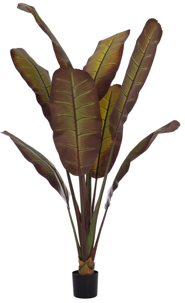 ΔΙΑΚΟΣΜΗΤΙΚΟ ΣΥΝΘΕΤΙΚΟ ΦΥΤΟ HM4740 ΙΑΠΩΝΙΚΗ ΜΠΑΝΑΝΑ ΣΕ ΓΛΑΣΤΡΑ 85x75x225Υεκ.