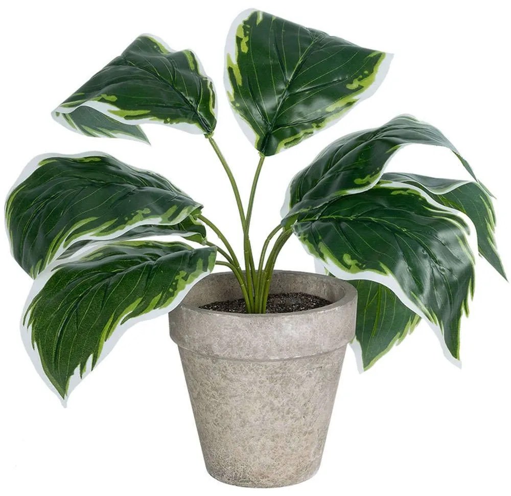 Τεχνητό Φυτό Σε Κασπώ Hosta 20900 Φ45x40cm Green-Grey GloboStar Τσιμέντο,Ύφασμα