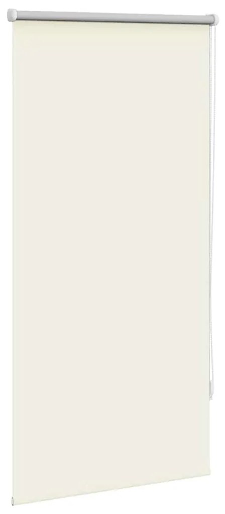 vidaXL Στόρι Συσκότισης Ρόλερ Υπόλευκο 60 x 120 εκ.