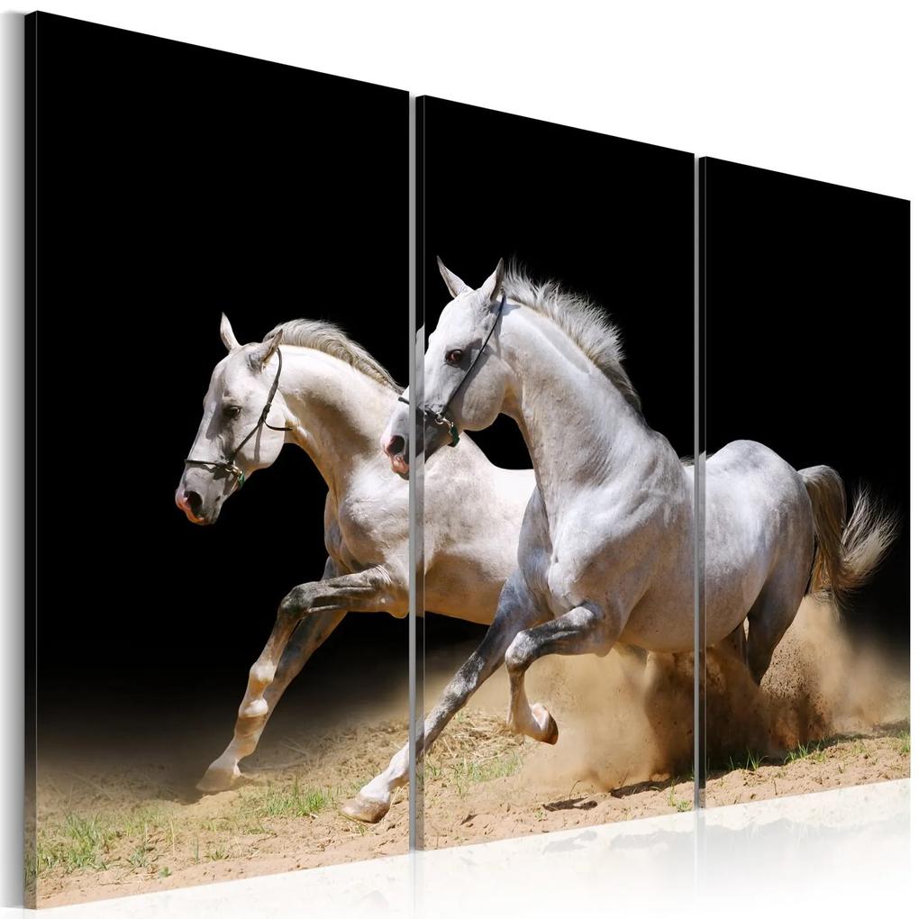 Πίνακας - Horses- power and velocity 60x40