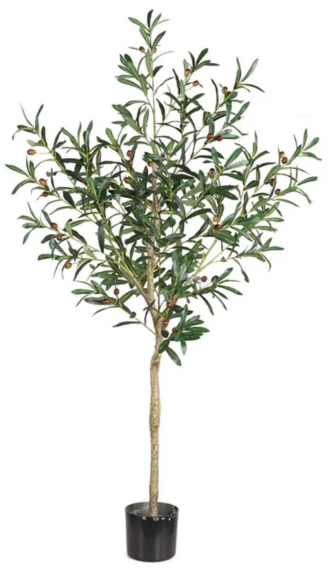 OLIVE TREE ΤΕΧΝΗΤΟ ΦΥΤΟ ΣΕ ΓΛΑΣΤΡΑ ΠΡΑΣΙΝΟ ΜΑΥΡΟ H155cm