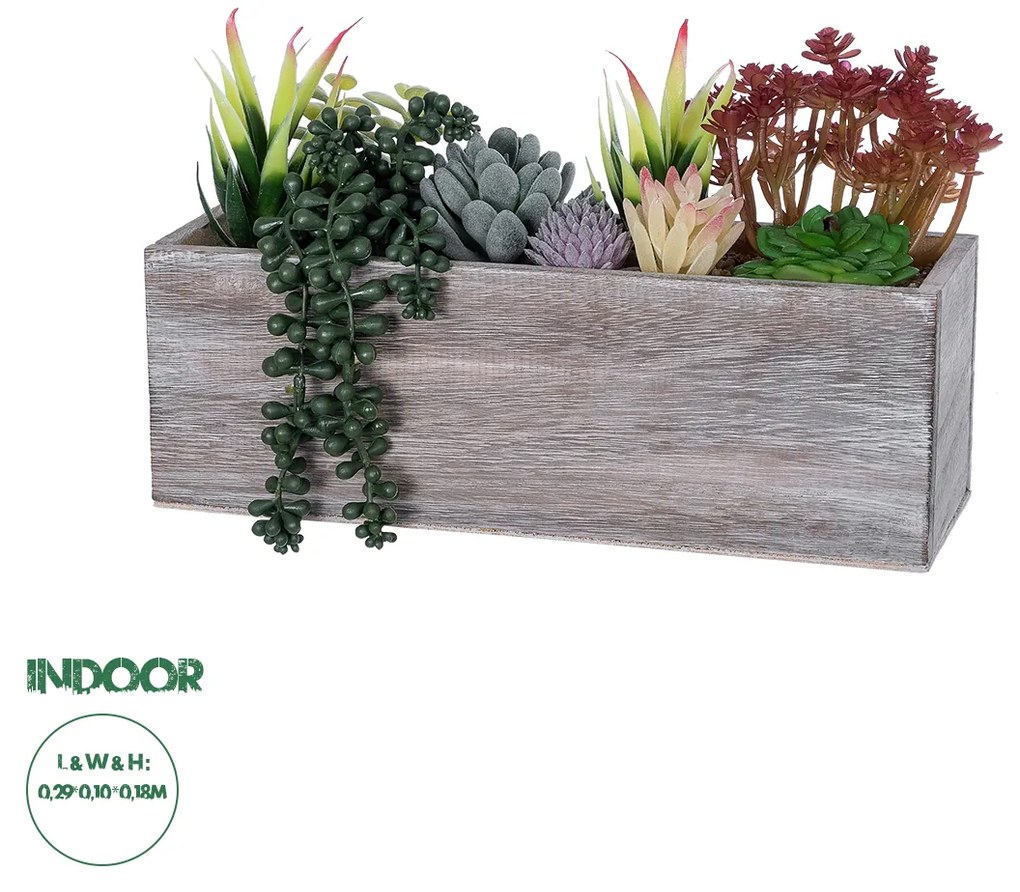 GloboStar® Artificial Garden SUCCULENT VARIUS PLANT POTTED 21033 Διακοσμητικό Φυτό Μίξ Μ32 x Υ29cm