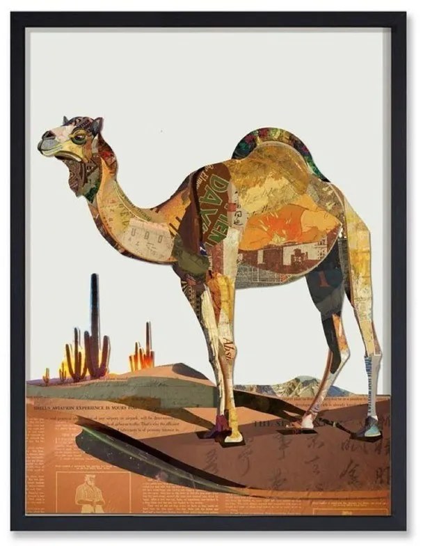 Supergreens Πίνακας Κολάζ Camel 75x100 εκ.