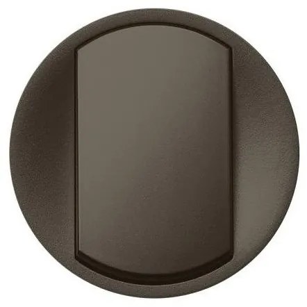 Πλακίδιο Διπολικού Διακόπτη Graphite Celiane 067921 Legrand-67921-Ανθρακί 067921