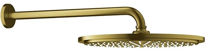 Κεφαλή ντουζ με βραχίονα Grohe Rainshower Essence New-Ashmi Gualistero