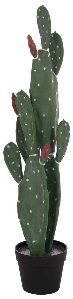 ΔΙΑΚΟΣΜΗΤΙΚΟ ΣΥΝΘΕΤΙΚΟ ΦΥΤΟ HM4748 ΚΑΚΤΟΣ ΜΕ ΓΛΑΣΤΡΑ 16x20x85Υεκ.