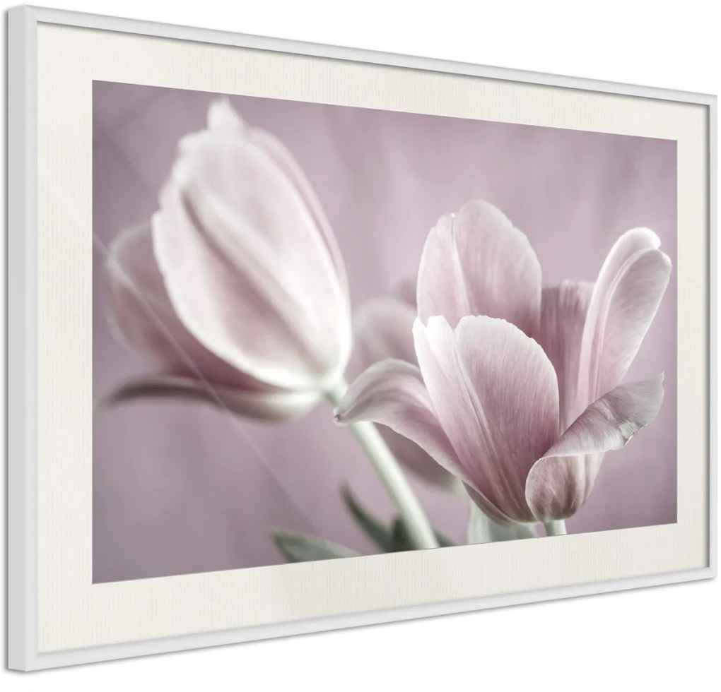 Αφίσα - Pastel Tulips I - 30x20 - Χρυσό - Με πασπαρτού