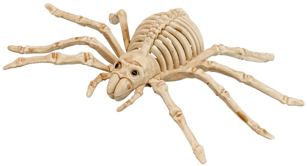 Halloween Διακοσμητικός Σκελετός Αράχνης 24cm 318929