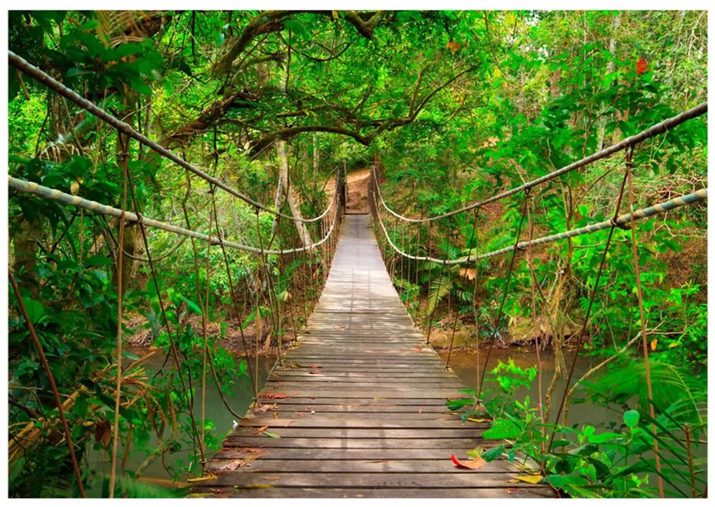 Φωτοταπετσαρία - Bridge amid greenery 100x70