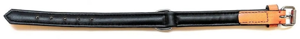 Κολλάρο Σκύλου Gloria Γεμισμένο Πορτοκαλί (55 x 2,5 cm)