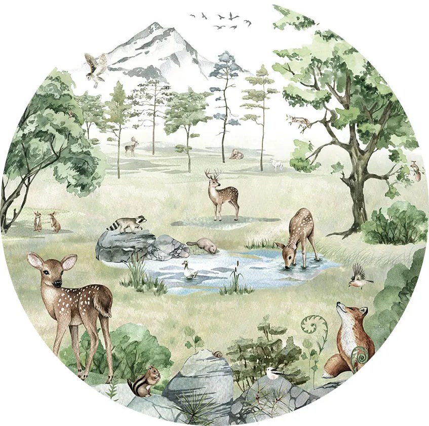 Deer Forest Summer Ταπετσαρια Τοιχου Πρασινο Στρογγυλη 80cm