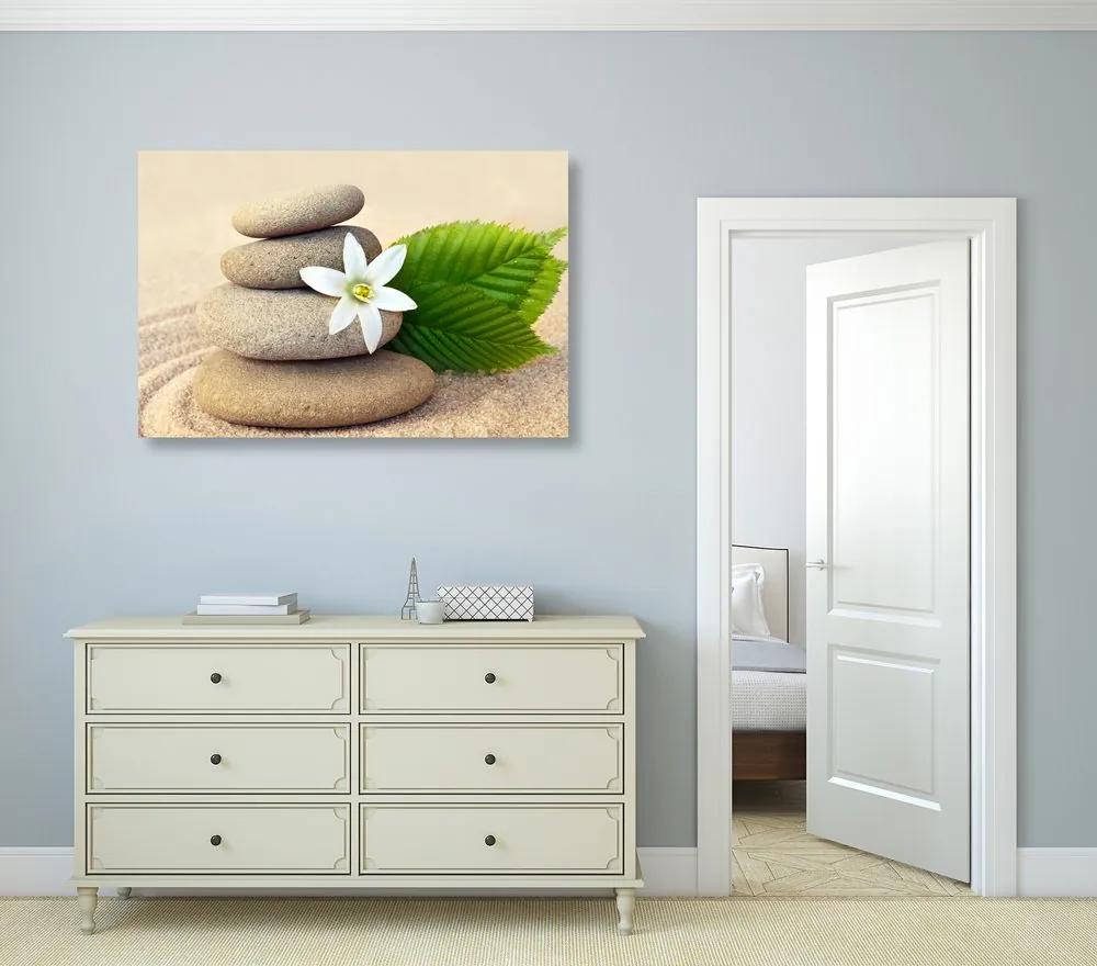 Εικόνα λευκό λουλούδι και πέτρες στην άμμο - 60x40