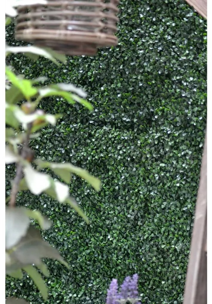 Emerald Πυξάρι Τεχνητό Πάνελ 4 τεμ. Πράσινο 50 x 50 εκ. 417980