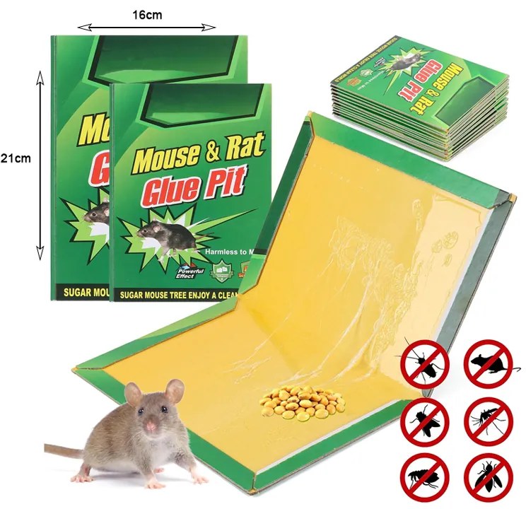 Green Filter Ποντικοπαγίδα - Mouse &amp; Rat Bpit Traps