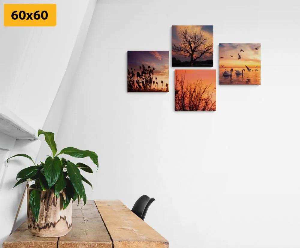Σετ εικόνων με μαγευτική φύση - 4x 60x60