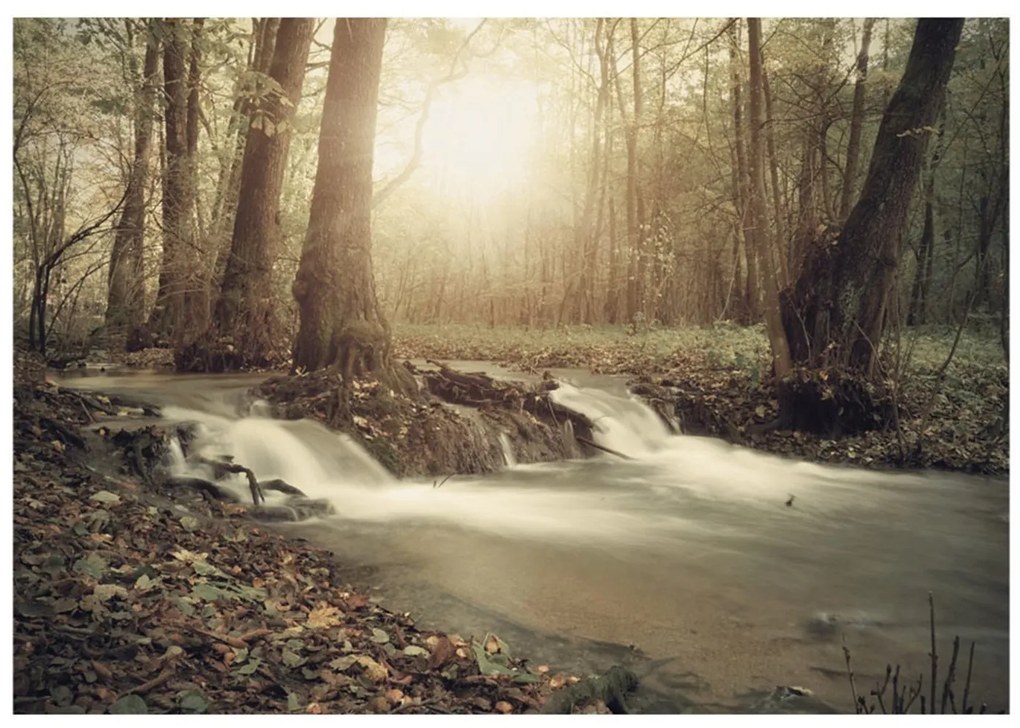 Φωτοταπετσαρία - Forest Cascade 150x105