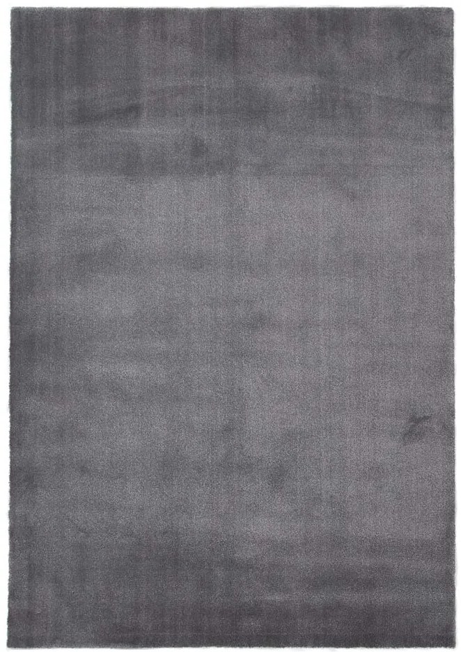 Χαλί Desire 71401 077 Royal Carpet - 140 x 200 cm