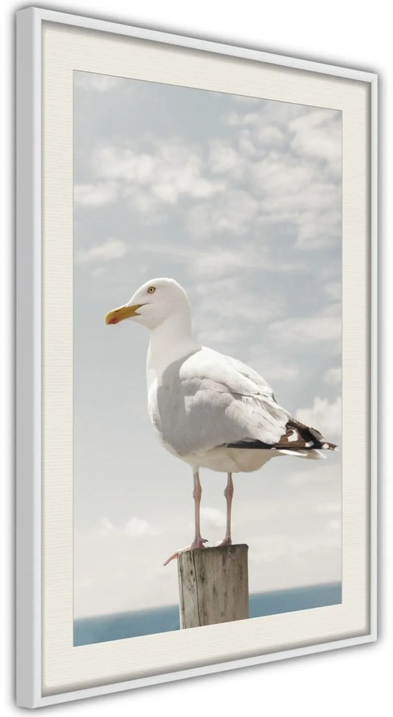 Αφίσα - Curious Seagull - 20x30 - Χρυσό - Με πασπαρτού