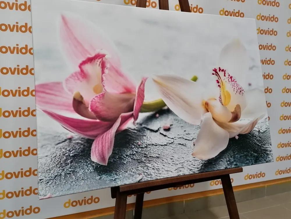 Εικόνα δύο πολύχρωμων λουλουδιών ορχιδέας - 60x40