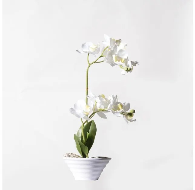 Τεχνητό Φυτό Ορχιδέα Phalaenopsis Real Touch Λευκή με Κασπώ 35 εκ. 5070-6 Supergreens-5070-6-Λευκό 5070-6