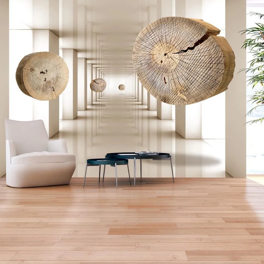 Αυτοκόλλητη φωτοταπετσαρία - Flying Discs of Wood - 98x70