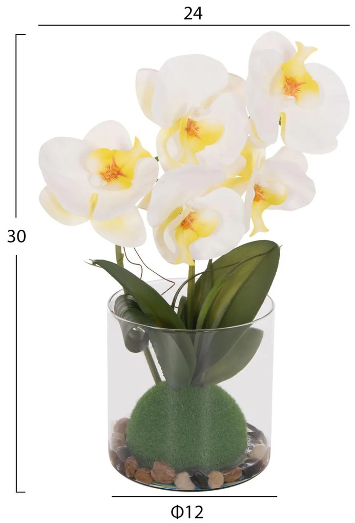 Διακοσμητικό Συνθετικό Φυτό Λουλούδι PHALAENOPSIS C4738 σε Γυάλινο Βάζο 12x24x30Υεκ 12x24x30 εκ.
