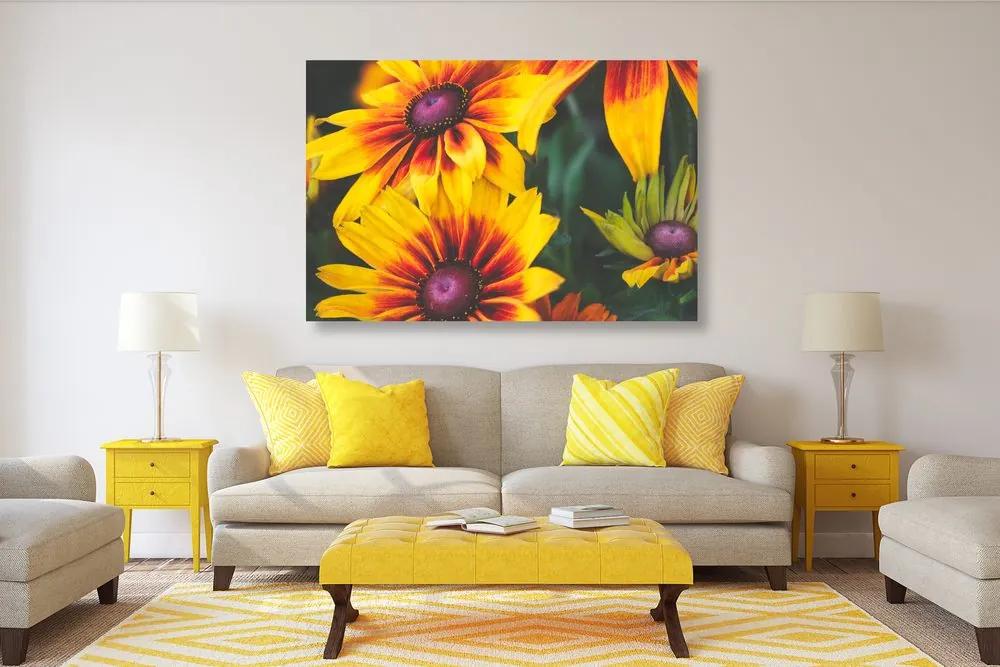Εικόνα μαγικών δίχρωμων λουλουδιών - 120x80