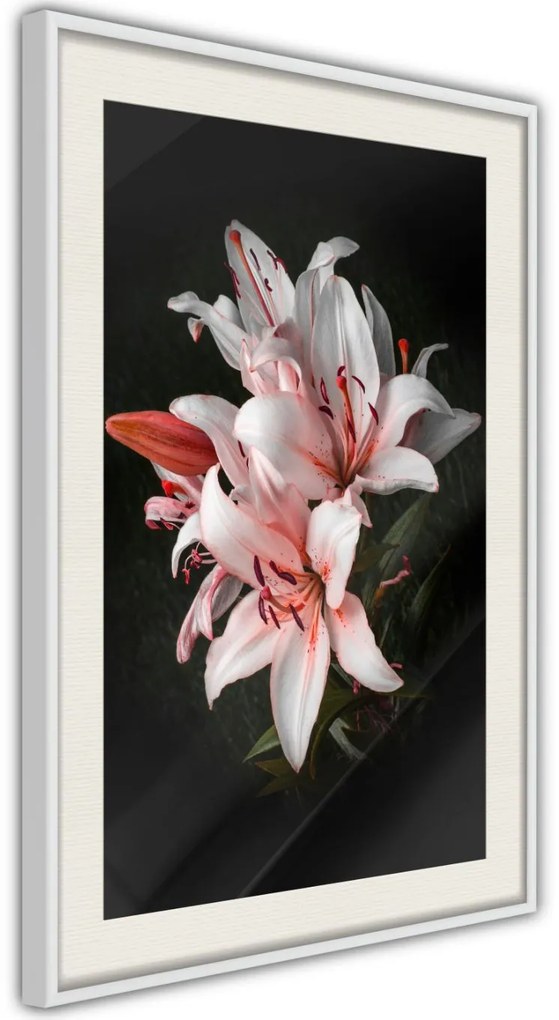 Αφίσα - Pale Pink Lilies - 20x30 - Χρυσό - Χωρίς πασπαρτού